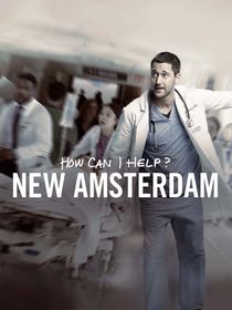 Новый Амстердам (1-2 сезон)