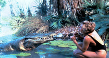 Крокодил Данди (1986) 